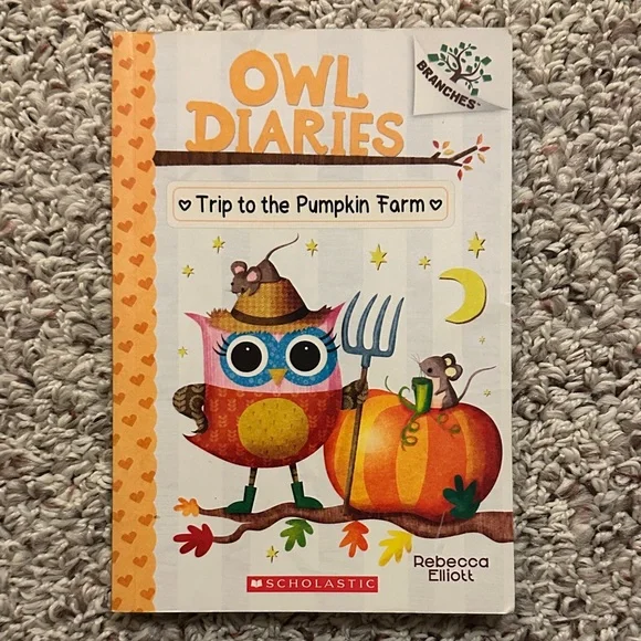 Scholastic Owl Diaries Book Set - Colorful Covers - Picture 4 of 13